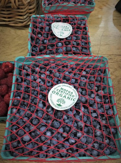 Fresh pack, wild blueberries with red netting to hold them in and MOFGA certified stickers on a counter at a local store