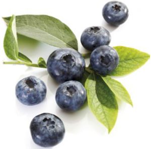 silouhetted knock-out image of a bunch of blueberries and leaves