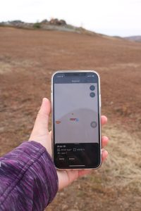 A hand holding a smartphone with a weed mapping software in front of a wild blueberry field.