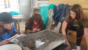 participants working on samples of soil and particles in a screened box