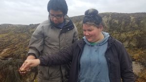 two participants on the beach looking at a crab