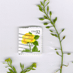 Some creeping yellow cress stalks with a U.S. postage stamp for scale purposes