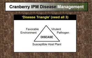 photo illustrating the concept of the plant "Disease Triangle" where it takes three basic things to bring about a plant disease: a favorable environment, a virulent pathogen, and a susceptible host plant.