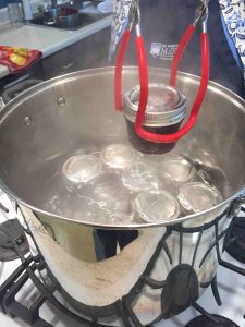 lifting canning jars containg beach plum jam out of a canning kettle of hot boiling water
