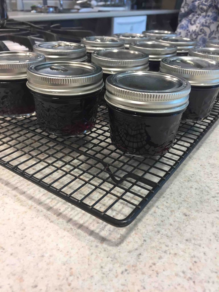 beach plum jelly in jars cooling on a rack