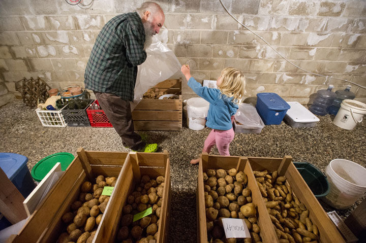 Man and grandaughter checking vegetables stored in their root cellar