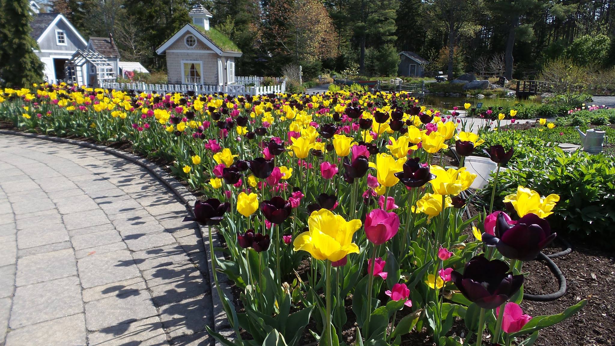 12 great gardens to visit in maine - cooperative extension in