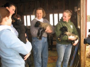 4-H Lambing with Bill Green