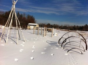 snowy winter scene on farm