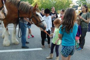 small girl feeding large Clydesdale horse