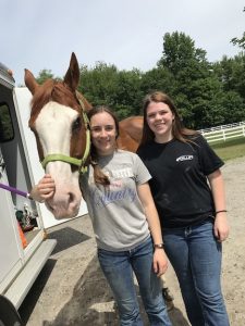 girls standing with horse