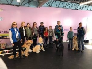 Kids & adults with four service dogs