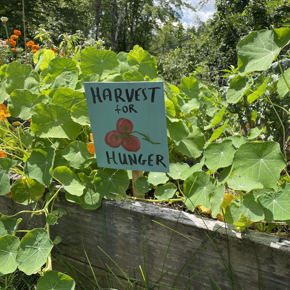 Harvest for hunger sign in raised bed garden