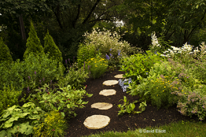 A garden bed with stepping stones.