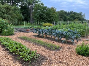 The vegetable gardens at Tidewater Farms.