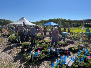 Customers shopping through aisles of plants