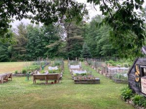 Raised garden beds at the Bridgton Community Garden