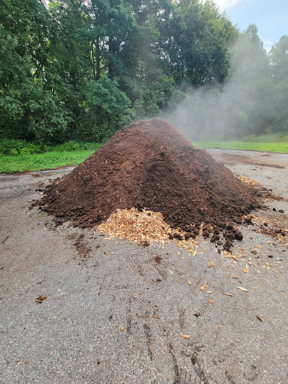 Compost pile steaming