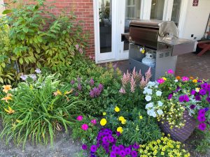 Perennial Garden