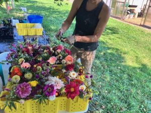 Assortment of fresh flower bouquets