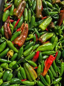 Freshly harvested peppers.