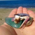 Sea glass, shells, driftwood, crab claw