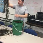 Tyler Van Kirk holds up a handful of seaweed in a lab