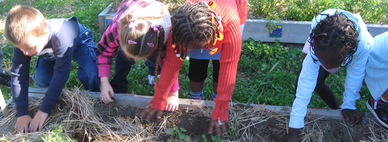 kids growing produce in a raised bed garden