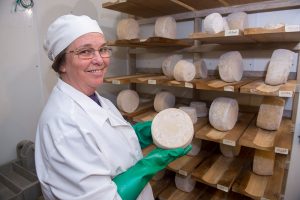 goat cheese producer with wheels of hard cheese
