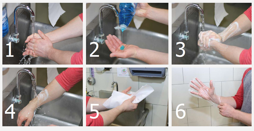 6 steps of hand washing: 1. wet hands; 2. apply soap; 3. lather and scrub; 4. rinse thoroughly; 5. dry; 6. put on gloves