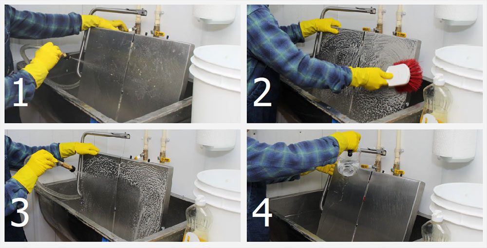 4 steps to cleaning and sanitizing: pre-rinsing, washing, rinsing, sanitizing