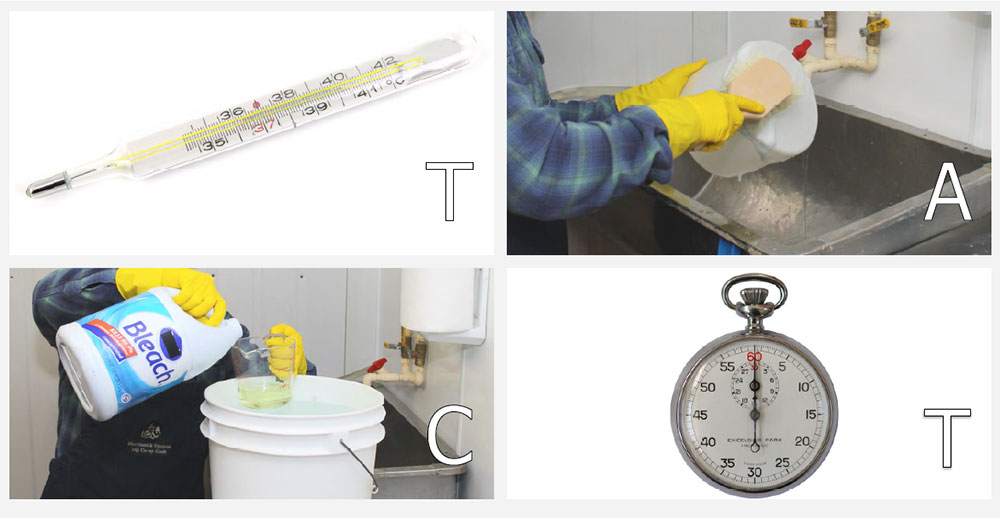 4 images show: 1. thermometer; 2. cheesemaker cleaning equipment with soap and brush; 3. cheesemaker pouring bleach into a bucket; 4. stopwatch