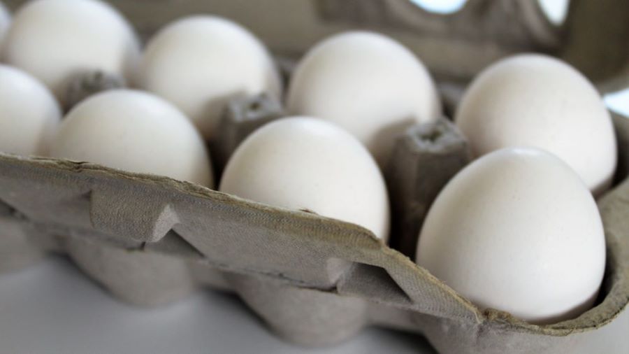 Cardboard carton of eggs with 8 white eggs
