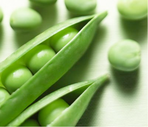Picture of pea pods