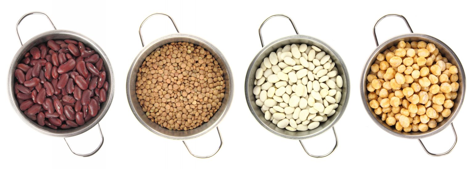 How to Store and Cook Dried Beans Cooperative Extension Food