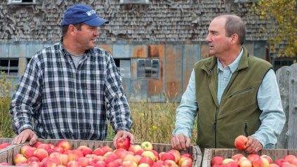 Extension expert talks with an apple producer on their farm