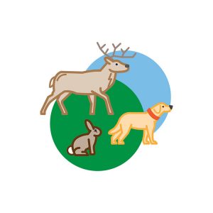 Wildlife Monitoring icon graphic