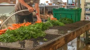 worker washing fresh produce