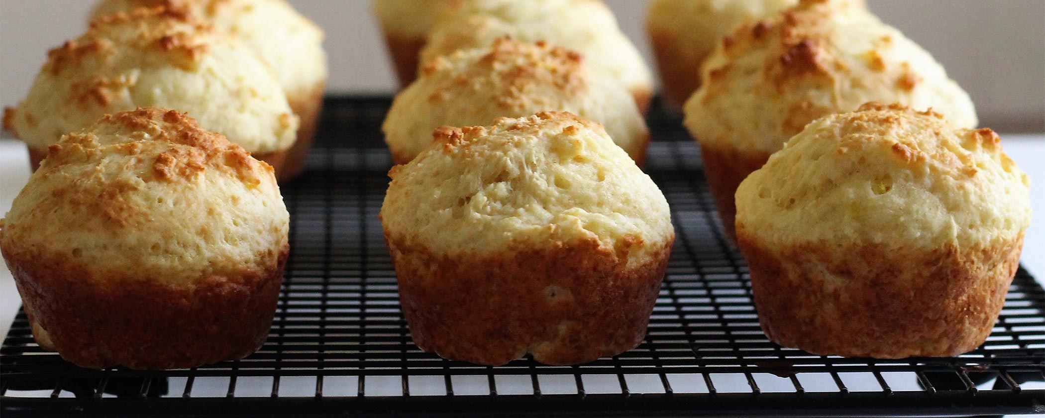 featured image for Mainely Dish: Low-Fat Lemon Yogurt Muffins