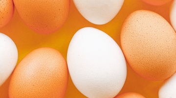 Eggs Close Up