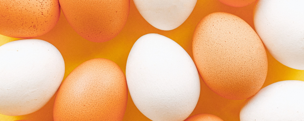featured image for Food Safety Facts on Eggs