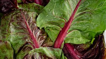 Leaves of chard