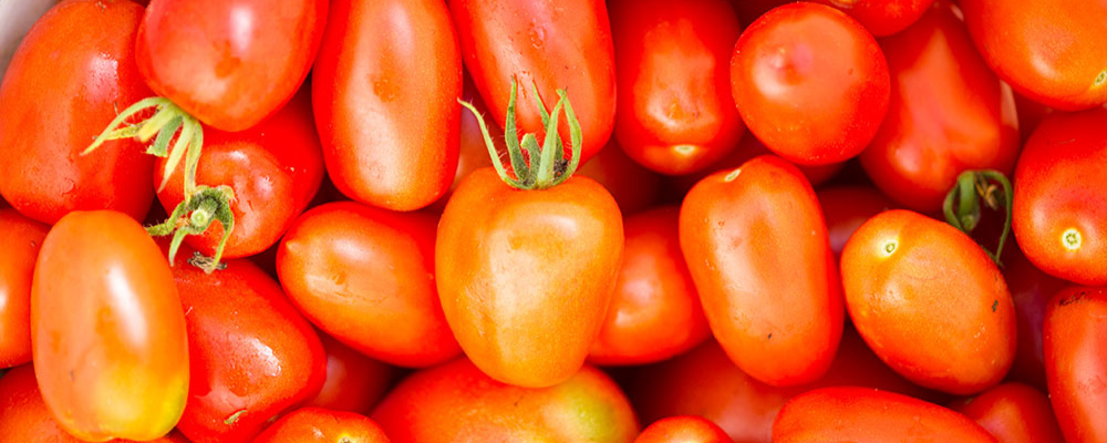 featured image for Best Types of Tomatoes For Canning