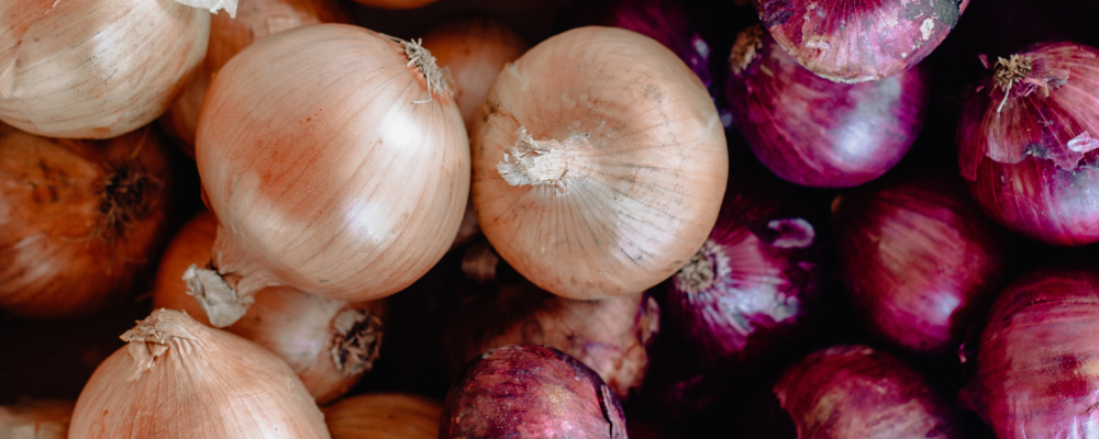featured image for 7 Types of Onions and the Best Ways to Use Them