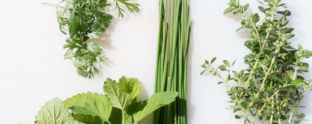 featured image for 7 Ways to Best Preserve Spring Herbs