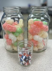 Freeze dried gummy bears and skittles.