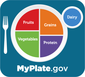 A representation of the five food groups (fruits, vegetables, grains, protein, dairy) on a plate and a cup.