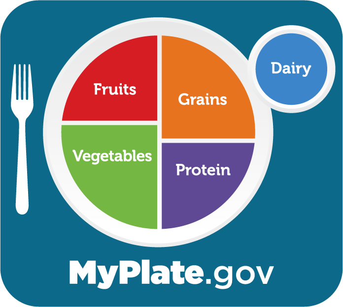 A representation of the five food groups (fruits, vegetables, grains, protein, dairy) on a plate and a cup.