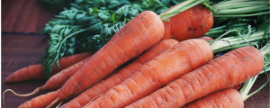 Close up of orange carrots