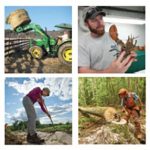 a collage, with 4 images, displaying different aspects of the Agriability segment of Cooperative Extension